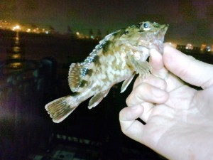 20101031_12